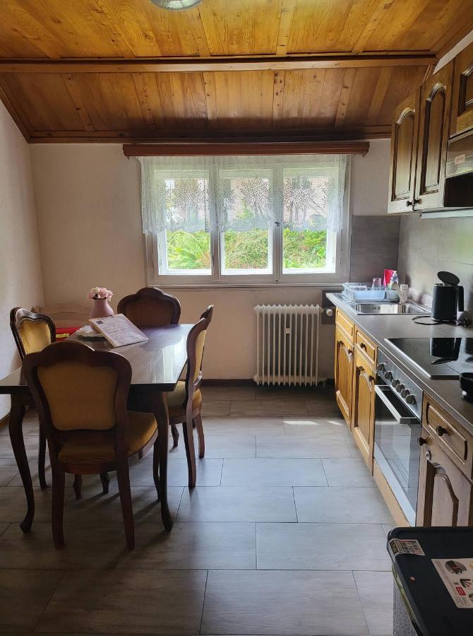 Ela Vital Ferienwohnung St. Blasien Buitenkant foto